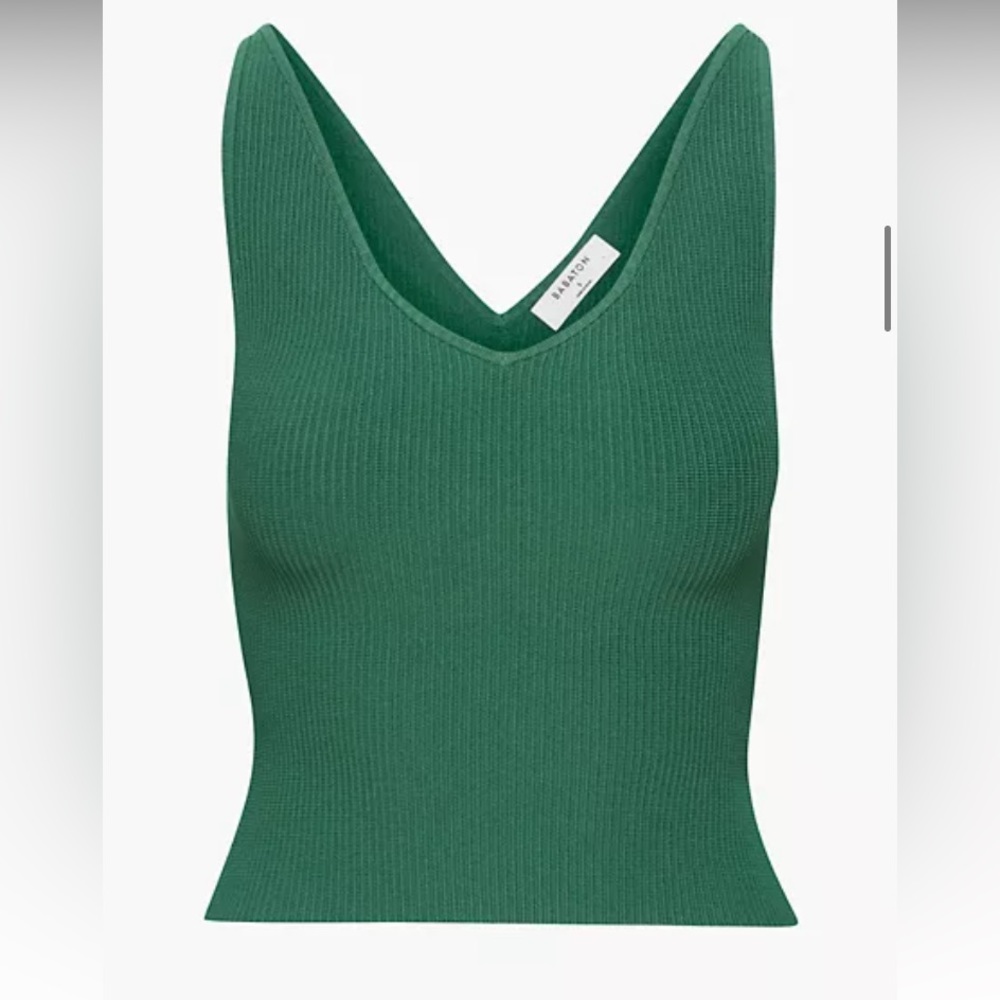 Aritzia v neck top 	Babaton
SCULPT KNIT DOUBLE V TANK green